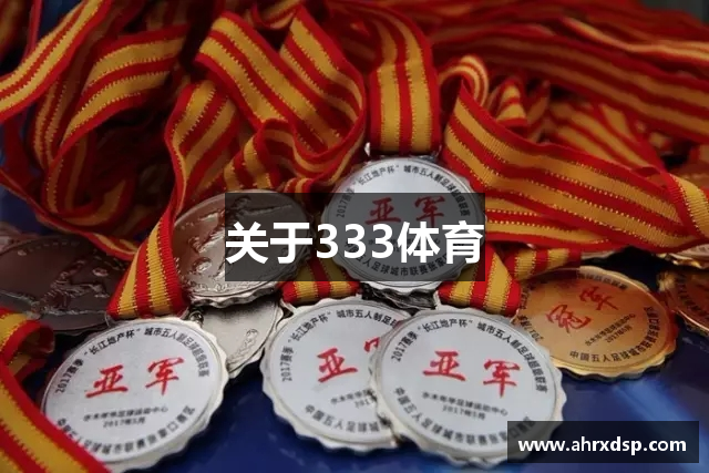 关于333体育